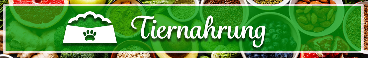 Desktop  Katzenfutter selber machen – so geht es!