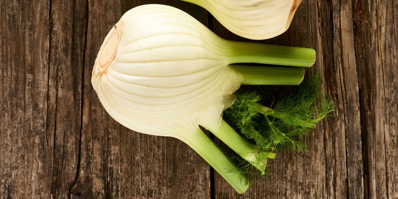  Fenchel