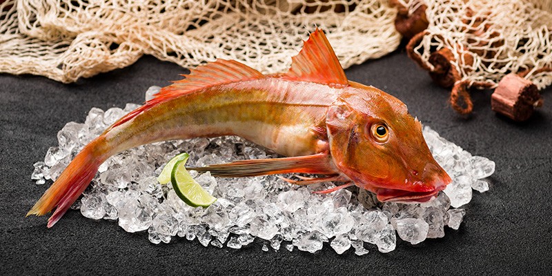 FD-WK-345-a-800x4008IBDdZrLYql2d