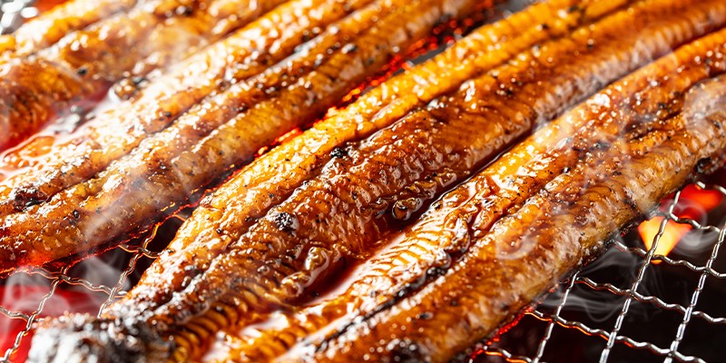 FD-WK-368-a-800x4005UNOm3J5HarSq