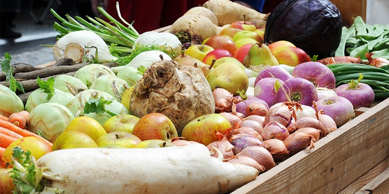 FD-EU-7-a-800x400xaVNcCgrjX85m