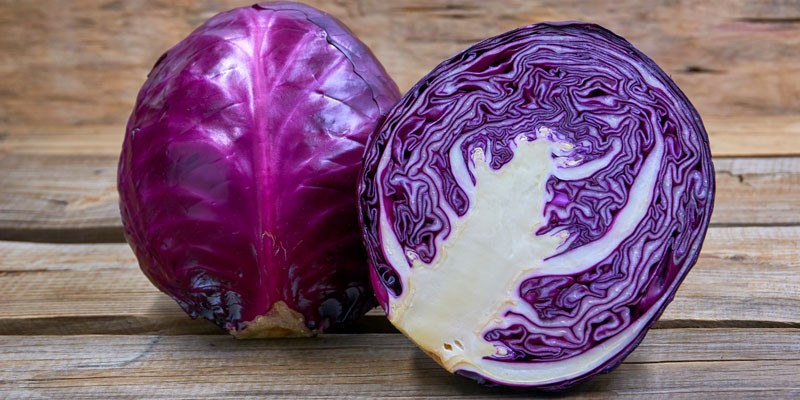 FD-WK-77-a-800x4005d2471516f30b