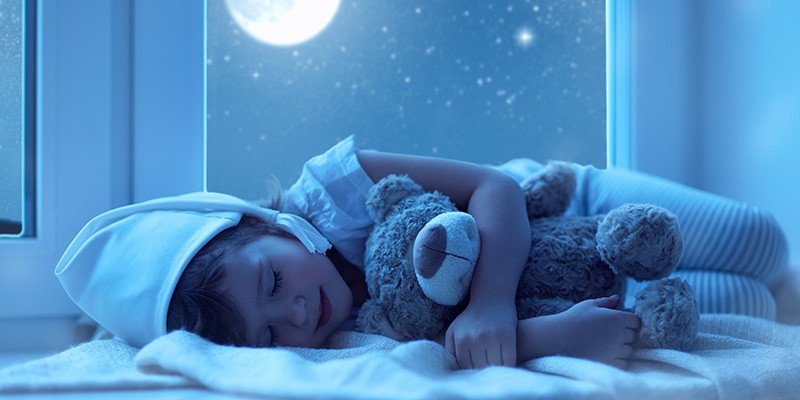 S-WW-39-a-800x400U6WAcFz9ERFHJ